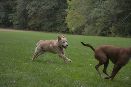 20250923_Imby and Dog Park__DSC0054_.jpg