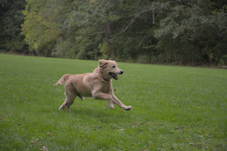 20250923_Imby and Dog Park__DSC0055_.jpg
