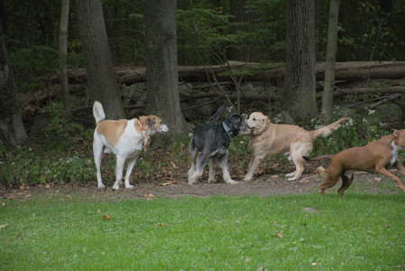 20250923_Imby and Dog Park__DSC0058_.jpg