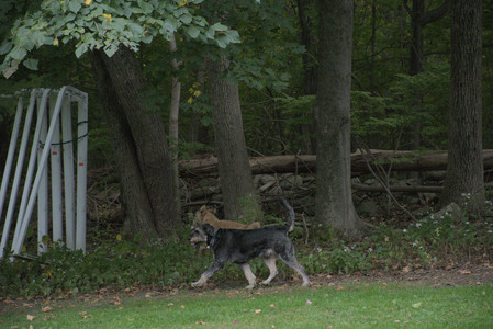 20250923_Imby and Dog Park__DSC0059_.jpg