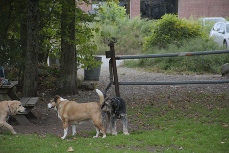 20250923_Imby and Dog Park__DSC0061_.jpg