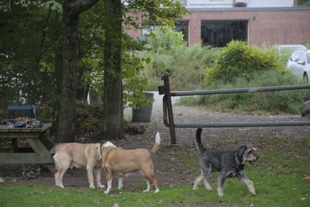 20250923_Imby and Dog Park__DSC0062_.jpg