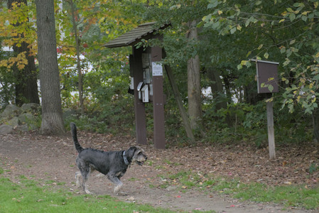 20250923_Imby and Dog Park__DSC0064_.jpg