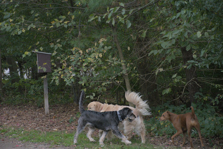 20250923_Imby and Dog Park__DSC0067_.jpg