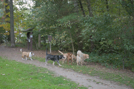 20250923_Imby and Dog Park__DSC0072_.jpg