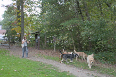 20250923_Imby and Dog Park__DSC0074_.jpg