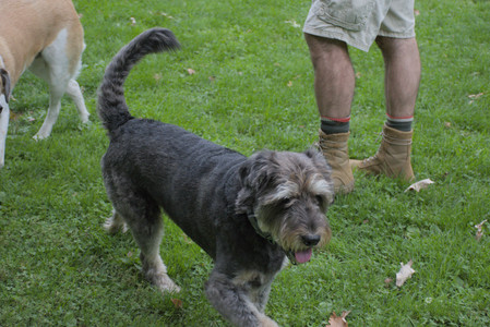 20250923_Imby and Dog Park__DSC0075_.jpg