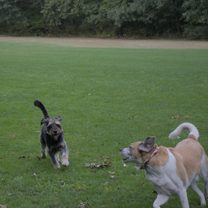 20250923_Imby and Dog Park__DSC0077_.jpg