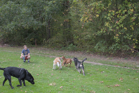 20250923_Imby and Dog Park__DSC0085_.jpg