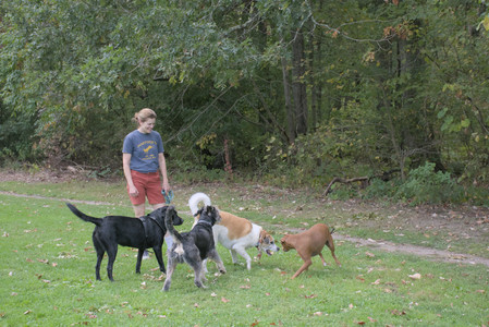 20250923_Imby and Dog Park__DSC0088_.jpg