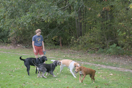 20250923_Imby and Dog Park__DSC0089_.jpg