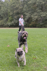 20250923_Imby and Dog Park__DSC0091_.jpg