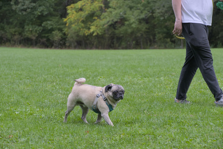 20250923_Imby and Dog Park__DSC0092_.jpg
