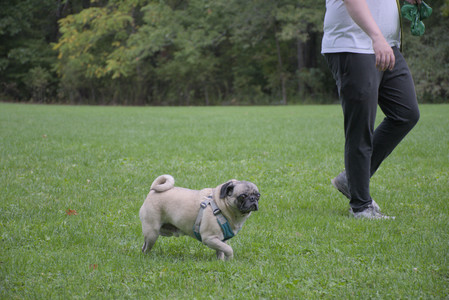 20250923_Imby and Dog Park__DSC0093_.jpg