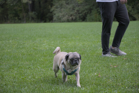 20250923_Imby and Dog Park__DSC0094_.jpg