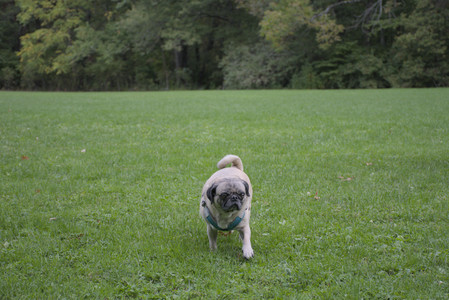 20250923_Imby and Dog Park__DSC0095_.jpg