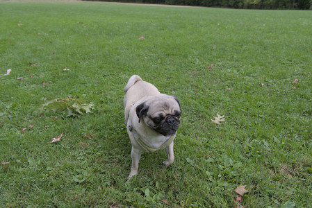 20250923_Imby and Dog Park__DSC0096_.jpg