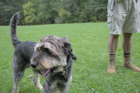20250923_Imby and Dog Park__DSC0098_.jpg