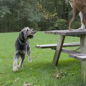 20250923_Imby and Dog Park__DSC0105_.jpg