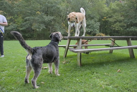 20250923_Imby and Dog Park__DSC0107_.jpg