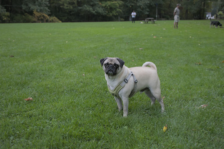 20250923_Imby and Dog Park__DSC0108_.jpg