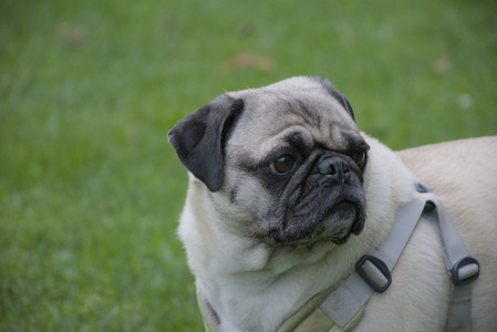 20250923_Imby and Dog Park__DSC0111_.jpg