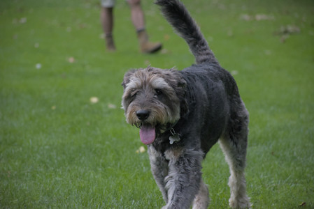 20250923_Imby and Dog Park__DSC0112_.jpg