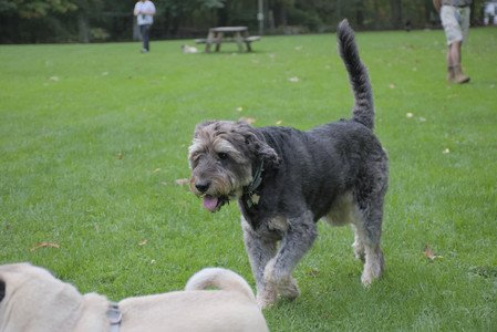 20250923_Imby and Dog Park__DSC0113_.jpg