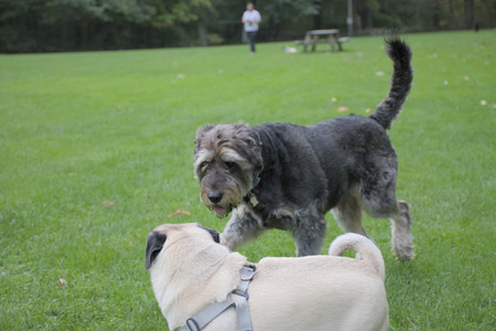 20250923_Imby and Dog Park__DSC0114_.jpg
