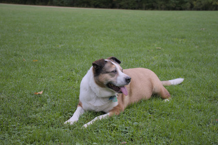 20250923_Imby and Dog Park__DSC0121_.jpg