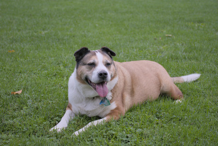 20250923_Imby and Dog Park__DSC0122_.jpg