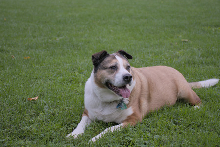 20250923_Imby and Dog Park__DSC0123_.jpg