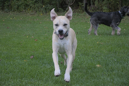 20250923_Imby and Dog Park__DSC0134_.jpg