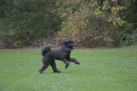 20250923_Imby and Dog Park__DSC0136_.jpg