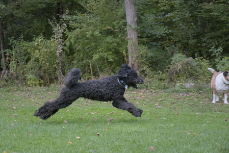 20250923_Imby and Dog Park__DSC0138_.jpg