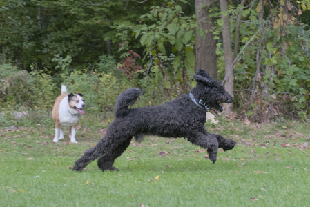 20250923_Imby and Dog Park__DSC0139_.jpg