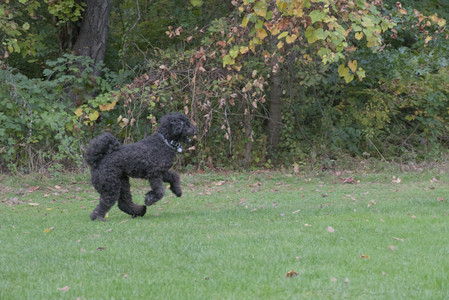 20250923_Imby and Dog Park__DSC0140_.jpg