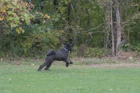 20250923_Imby and Dog Park__DSC0141_.jpg