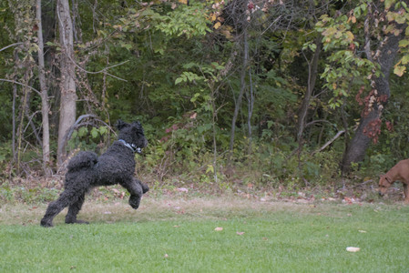 20250923_Imby and Dog Park__DSC0142_.jpg