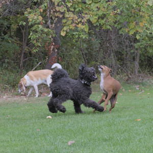 20250923_Imby and Dog Park__DSC0149_.jpg