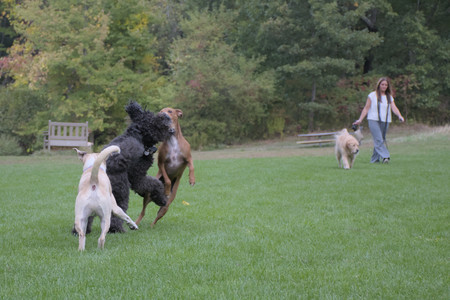 20250923_Imby and Dog Park__DSC0156_.jpg