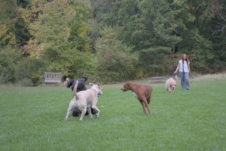 20250923_Imby and Dog Park__DSC0157_.jpg