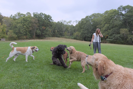 20250923_Imby and Dog Park__DSC0161_.jpg