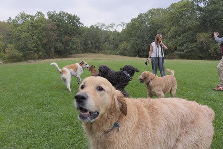 20250923_Imby and Dog Park__DSC0162_.jpg