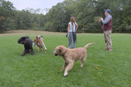 20250923_Imby and Dog Park__DSC0163_.jpg