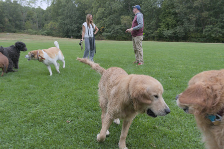 20250923_Imby and Dog Park__DSC0165_.jpg