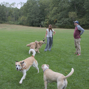 20250923_Imby and Dog Park__DSC0166_.jpg