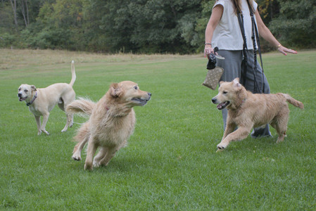 20250923_Imby and Dog Park__DSC0167_.jpg