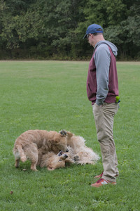 20250923_Imby and Dog Park__DSC0174_.jpg