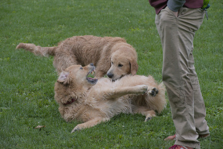 20250923_Imby and Dog Park__DSC0176_.jpg